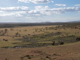 Bologonja_Seronera2009-63